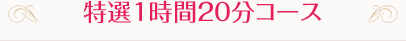 特選1時間20分コース